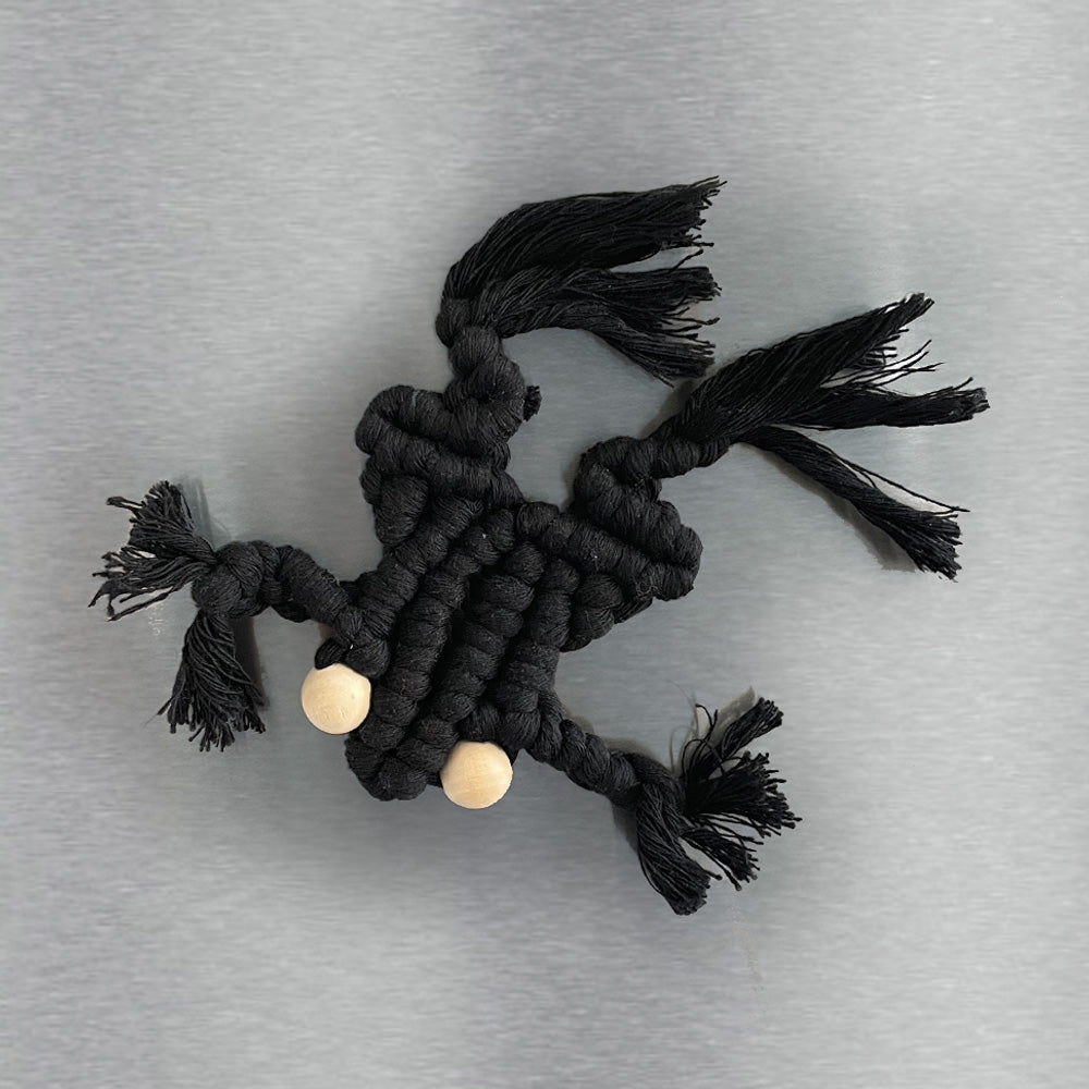 Grenouille • Decoration • Magnette