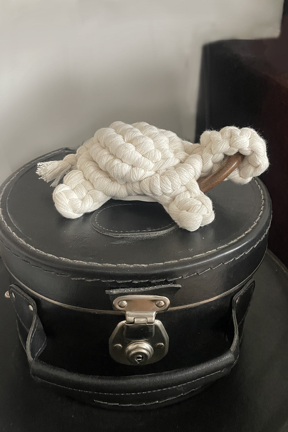 Decoration • Tortue
