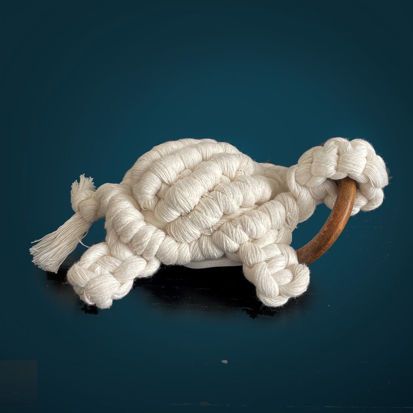 Decoration • Tortue