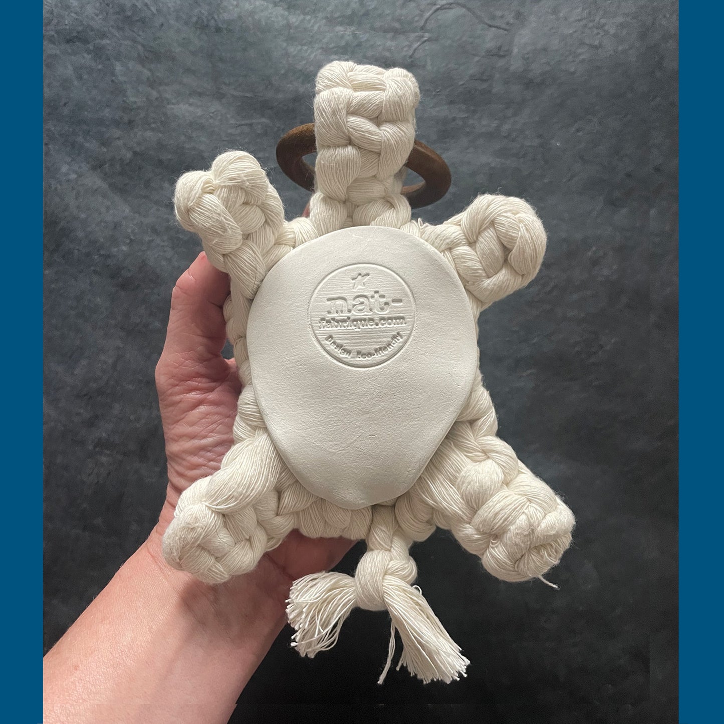 Decoration • Tortue
