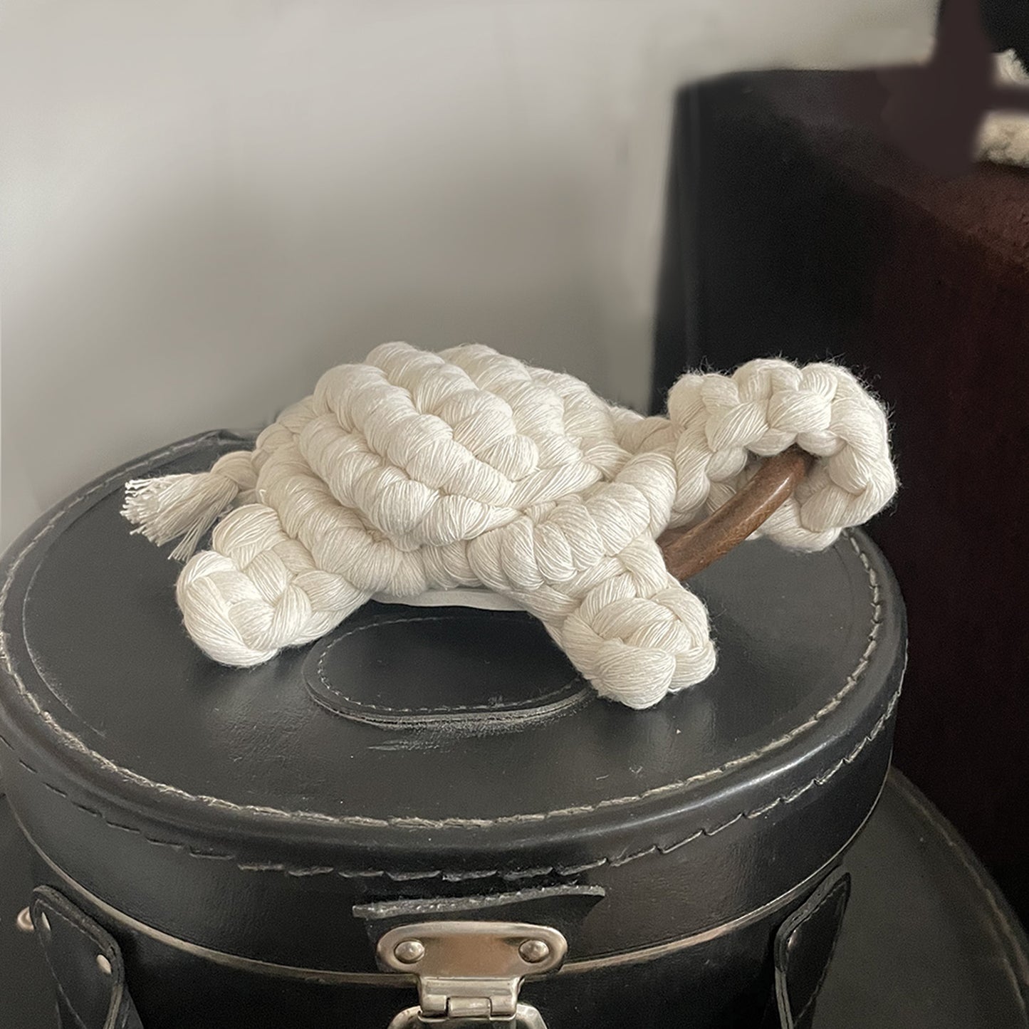 Decoration • Tortue